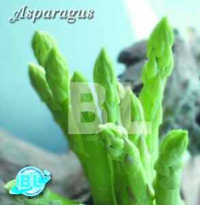 asparagus