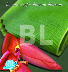 Banana Leaf+Banana Blossom