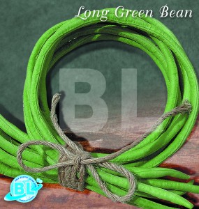 Long Green Bean