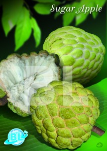 Sugar Apple